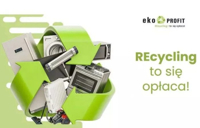 Miniaturka artykułu Remondis Electrorecycling zaprasza do udziału w programie eko-PROFIT!