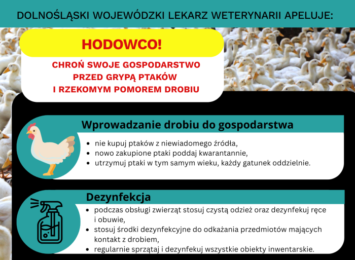 Miniaturka artykułu Informacja dla hodowców drobiu