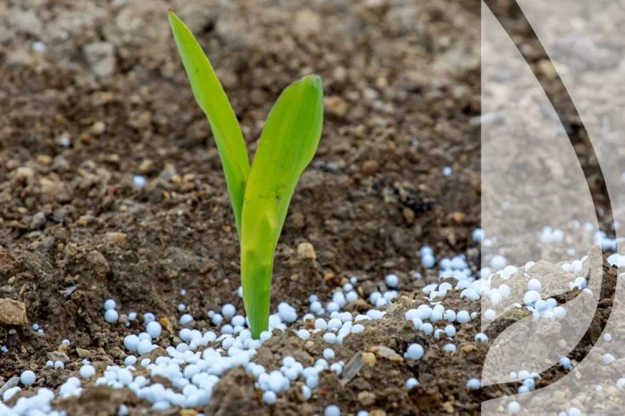 Miniaturka artykułu Nabór wniosków na wapno nawozowe dla rolników z terenu Gminy Głogów