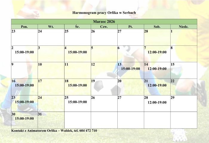 Miniaturka artykułu Animator Orlika w Serbach zaprasza na zajęcia sportowe