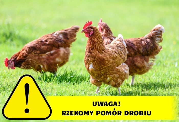Miniaturka artykułu Uwaga hodowcy drobiu!