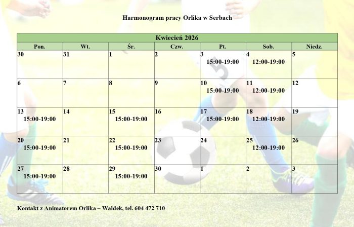 Miniaturka artykułu Animator Orlika w Serbach zaprasza na zajęcia sportowe