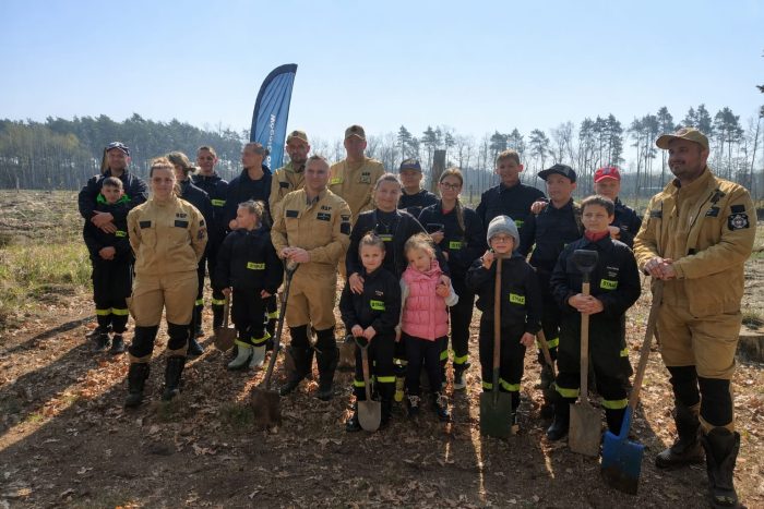 Miniaturka artykułu Nie tylko gasimy, ale też sadzimy! Wspólna akcja OSP i Nadleśnictwa Głogów