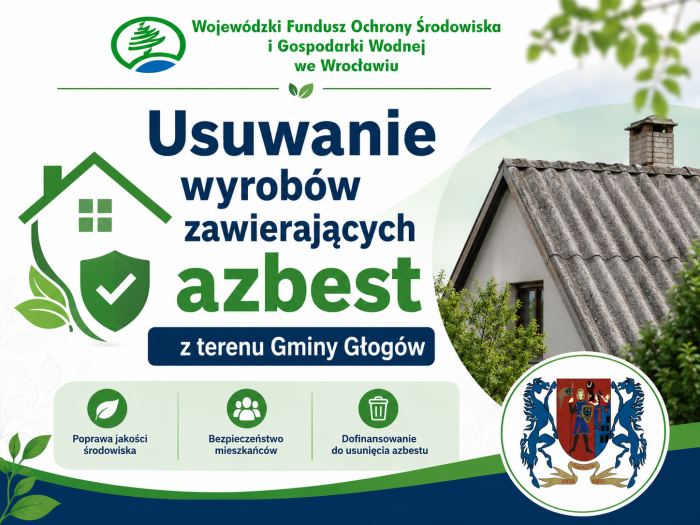 Miniaturka artykułu Usuwanie wyrobów zawierających azbest