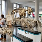 UCZNIOWIE Z SP SERBY NA WYCIECZCE WE WROCŁAWIU