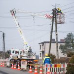 Pielęgnacja gniazd_infopress