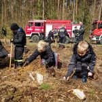 Sadzenie lasu z jednostkami OSP