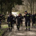 Sadzenie lasu z jednostkami OSP