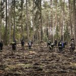 Sadzenie lasu z jednostkami OSP