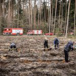 Sadzenie lasu z jednostkami OSP