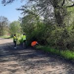 sprzątanie Starych Serbów