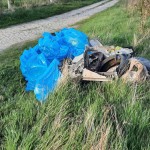 sprzątanie Starych Serbów