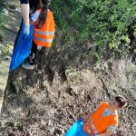 sprzątanie Starych Serbów