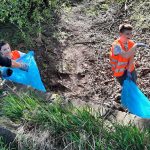 sprzątanie Starych Serbów