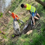 sprzątanie Starych Serbów