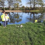sprzątanie Starych Serbów