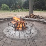 wycieczka do Dalkowa