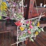 wycieczka do Dalkowa