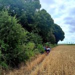 Młodzi tropiciele sekretów Przedmościa