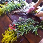 wycieczka do Dalkowa