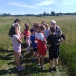 WARSZTATY EDUSILESIA