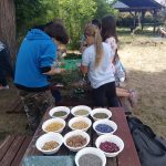 WARSZTATY EDUSILESIA