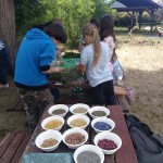 WARSZTATY EDUSILESIA