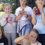 WARSZTATY EDUSILESIA