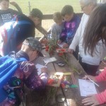 WARSZTATY EDUSILESIA