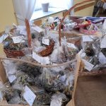 wyjazd studyjny klubu seniora