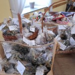 wyjazd studyjny klubu seniora