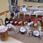 wyjazd studyjny klubu seniora