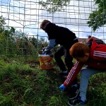 Sprzątanie świata – Polska