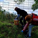 Sprzątanie świata – Polska