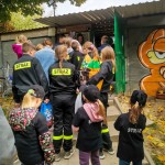 zbiórka karmy dla Amicusa