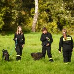 zbiórka karmy dla Amicusa