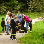 zbiórka karmy dla Amicusa