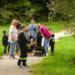 zbiórka karmy dla Amicusa