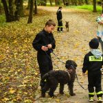 zbiórka karmy dla Amicusa