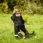 zbiórka karmy dla Amicusa