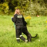 zbiórka karmy dla Amicusa