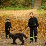 zbiórka karmy dla Amicusa