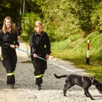 zbiórka karmy dla Amicusa