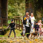 zbiórka karmy dla Amicusa