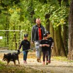 zbiórka karmy dla Amicusa