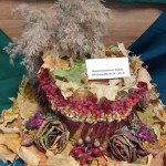 jesienny kapielu - konkurs sp Przedmoście