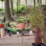 wycieczka do Kłodzka