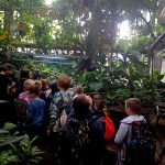 SP Przedmoście_palmiarnia