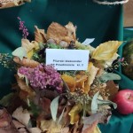 jesienny kapielu - konkurs sp Przedmoście