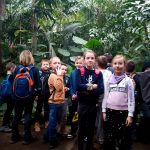 SP Przedmoście_palmiarnia